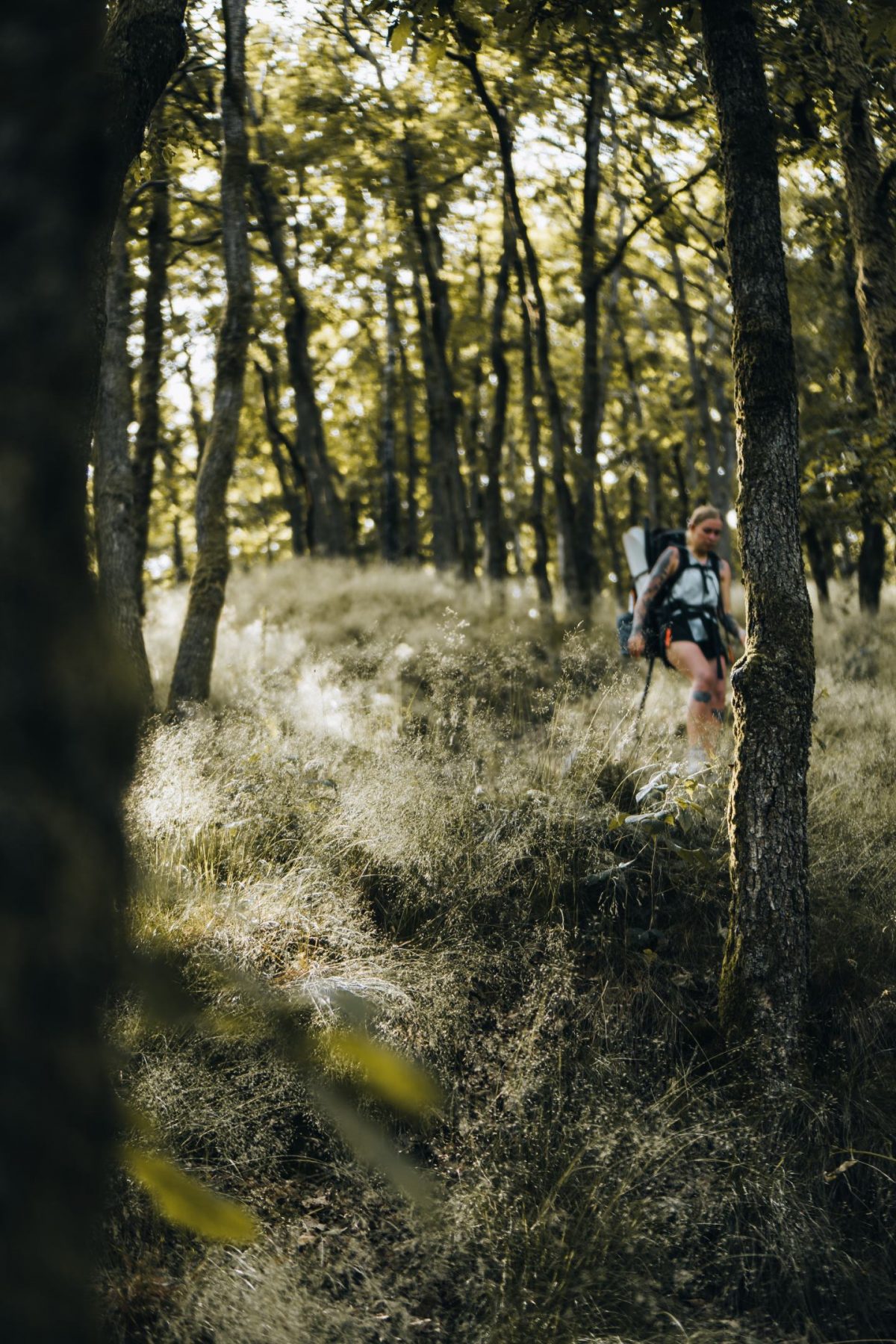 Frau wandert durch dicht bewachsenen Wald